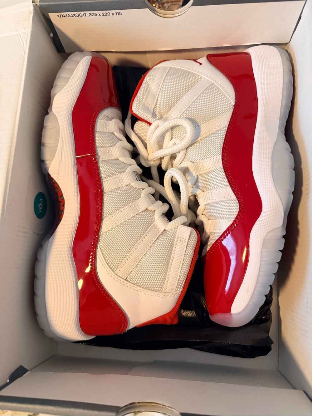 Air Jordan 11 Retro Cherry/White